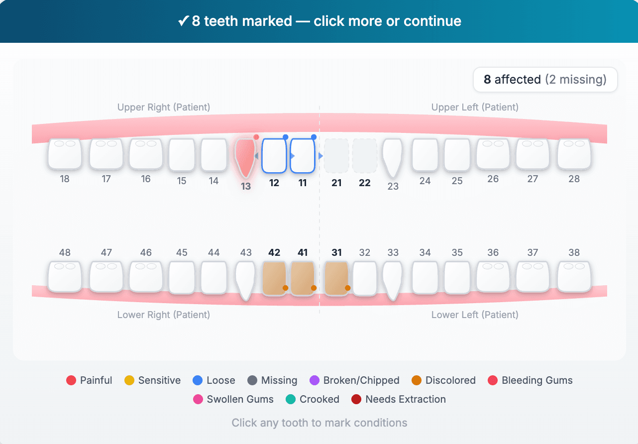 How the MyDentalFly Assessment Works
